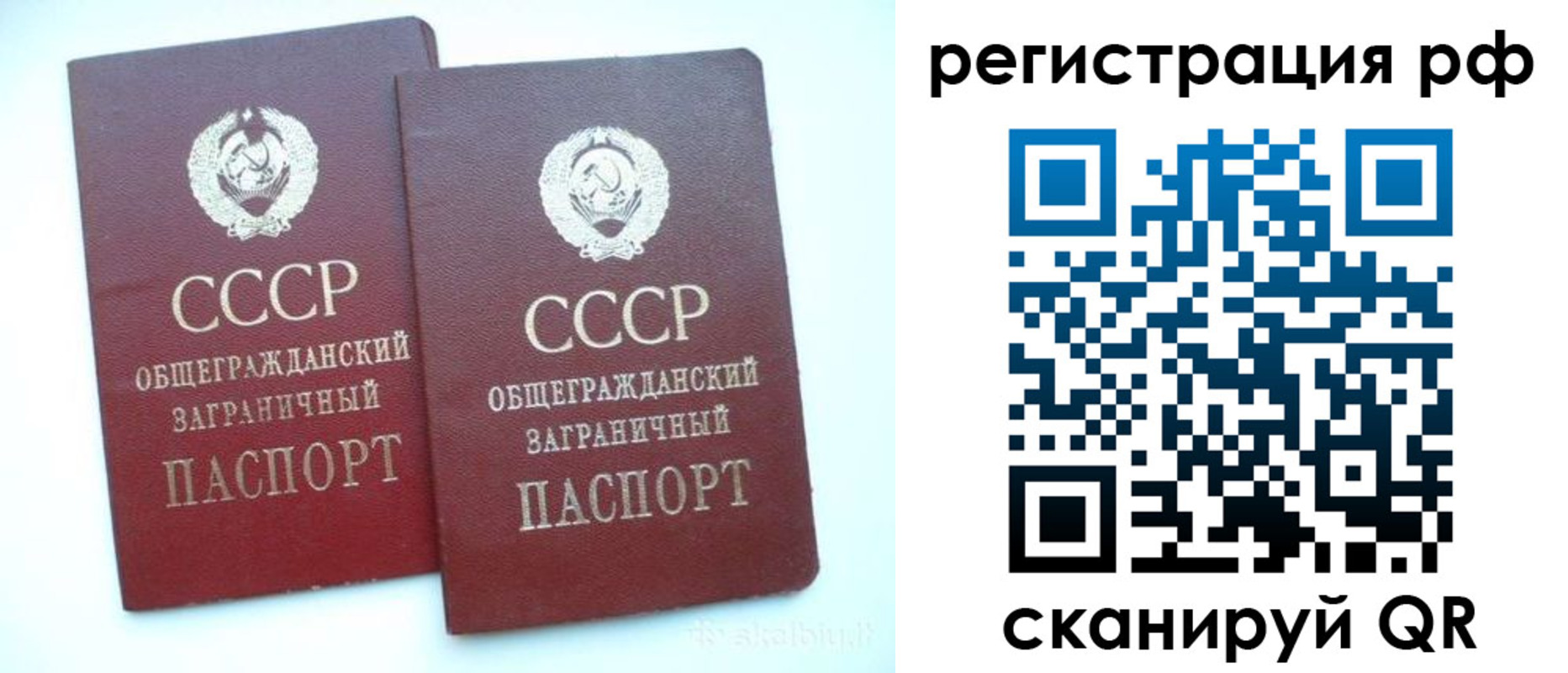 временная регистрация госуслуги в Тосно
